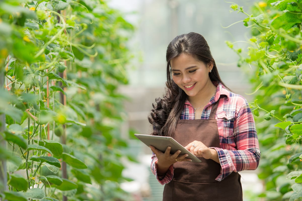 Maestría en Agronegocios